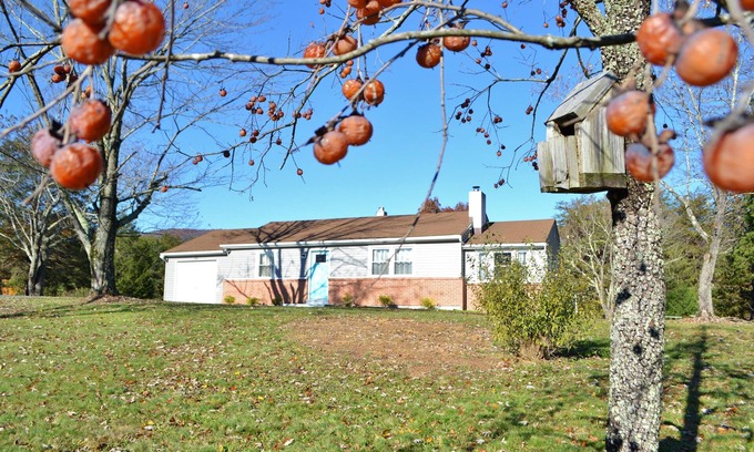 Fort Valley Cottage | Shenandoah Cottage at Persimmon hill with Mountain Views