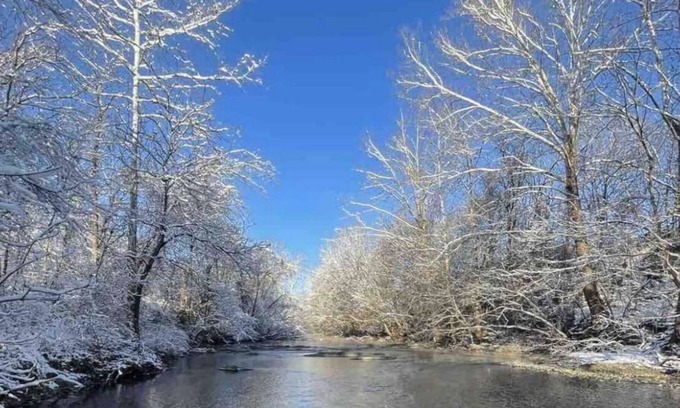 Edinburg Cottage | Shenandoah Farm Cottage. River Access , Sweeping Mountain Views and Pet Friendly