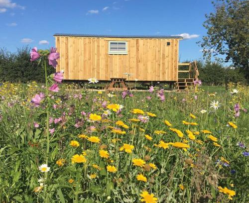 Bedfield House | Shepherds Hut 6
