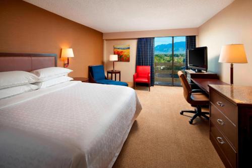 Uptown Hotel | Sheraton Albuquerque Uptown by Marriott