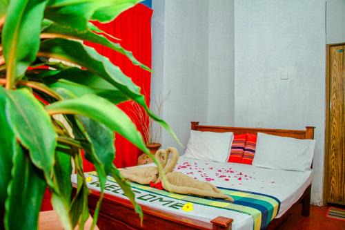 Matale Hotel | Sheriton Ray Resindency