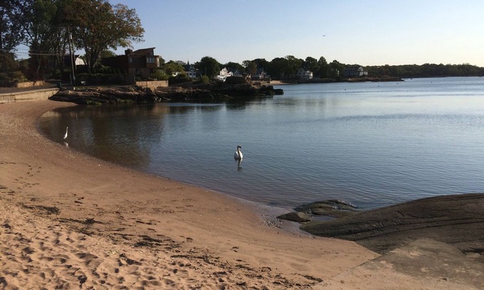 Branford Cottage | Short Beach Coastal Cottage