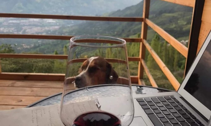 Copacabana Apartment | SIERRA VERDE CABIN