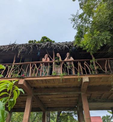 Sigiriya Cabin | Sigiriya Rock View Tree house