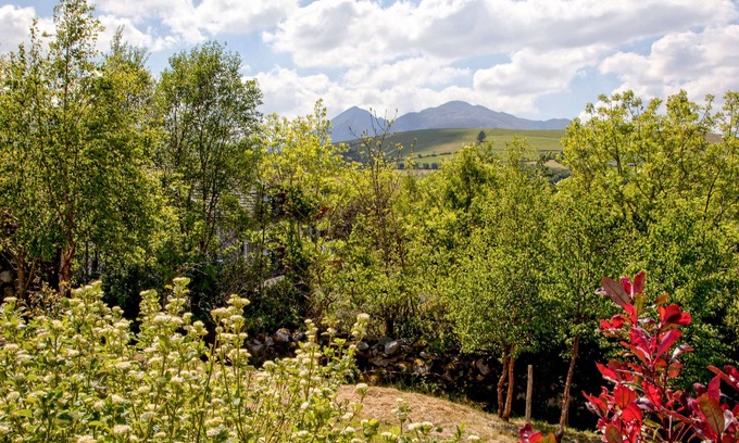 Killarney Cottage | Silver Birch House
