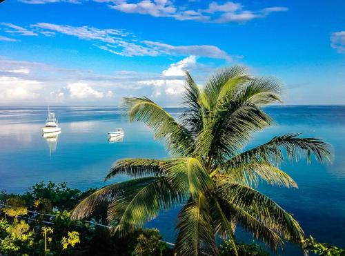 Ocho Rios Hotel | Silver Seas Hotel Ocho Rios