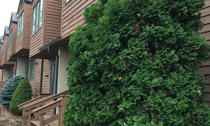 Windham Condo | Simply Amazing Condo