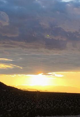 Joshua Tree Other | Simply Camping