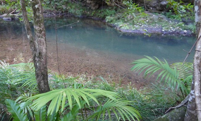 Cougal Resort | Sine Cera Rainforest Retreat