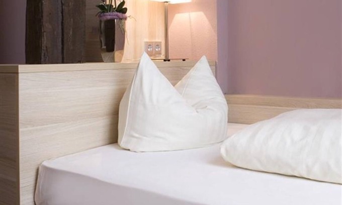 Hadamar House | Single Ambiente Klassik - Ringhotel Nassau-Oranien