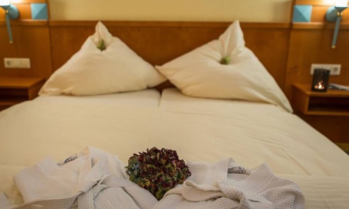 Ulmet House | Single room Superior - Waldhotel Felschbachhof