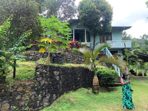 Yattapatha Hotel | Sinharaja Holiday Bungalow