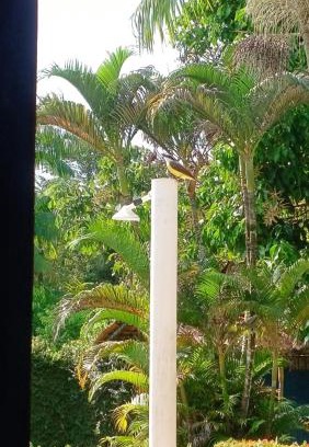 Santo Antonio do Taua Ski Chalet | Sitio dos nana's