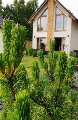 Lubiatowo House | Sjesta al mare, domki z sauną i balią z jacuzzi
