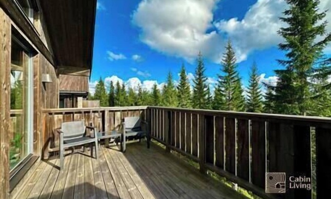 Al Municipality Apartment | Sjusjøen ski in/out, ski storage, Wifi, grill & EV-charger, modern apartment!