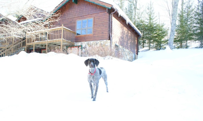 Snowshoe Condo | Ski cabin- Close, Comfortable, & well kept cabin- Family friendly