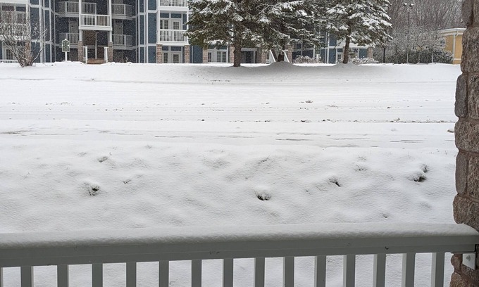 Oro-Medonte House | Ski Season Townhouse in Horseshoe Valley