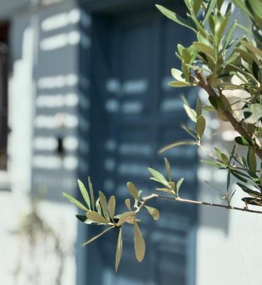 Old Town Apartment | Sky House Old Town Xanthi - menohomes 9