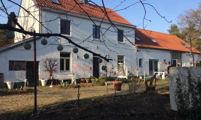 Zonhovenheide Bed & Breakfast | Slaaphuisje Het vliegend varken