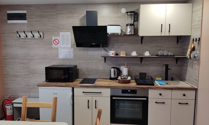 Petrovaradin Apartment | Sladjana Apartments, AP 5