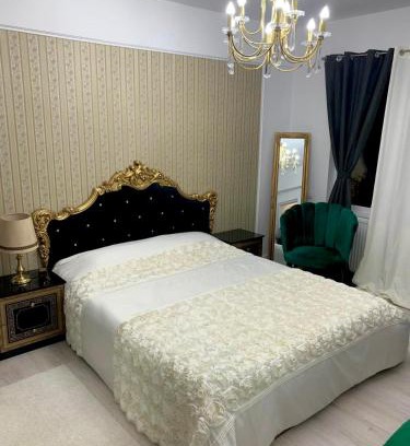Slatina Apartment | Slatina RECEA RESIDENCE