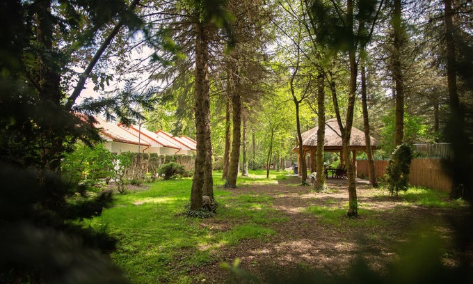 Niepolomice House | Sleep at birdy countryside, only 5 km from Niepołomice. Breakfast included.