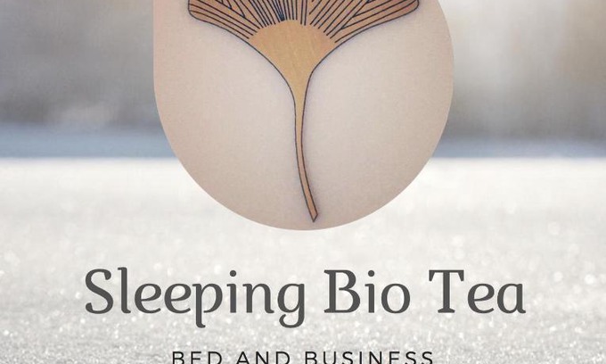Veymerange Bed & Breakfast | Sleeping Bio Tea