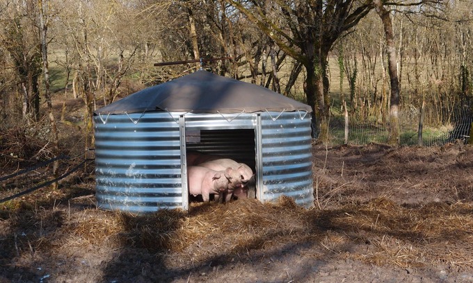 Rosnay Cottage | Small cottage on the farm