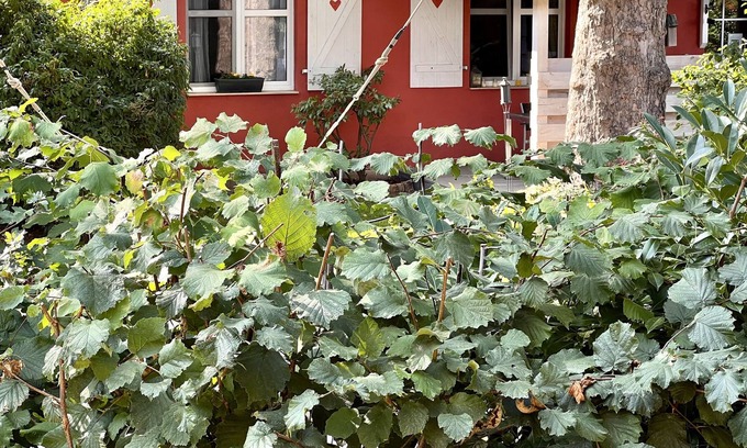 Fehrbellin Cottage | Small country house with sauna and fireplace on the four-sided courtyard