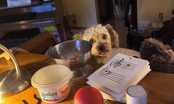 Lafayette Bed & Breakfast | Small dog lovers welcome!