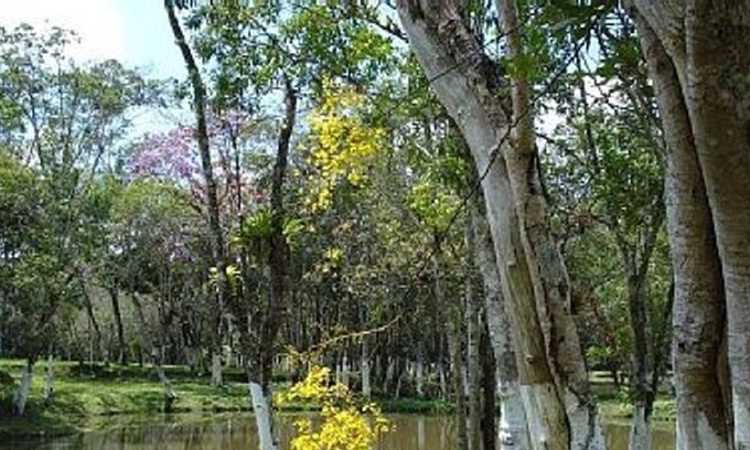 Rio Grande House | Small farm for the season, weekends, holidays and events