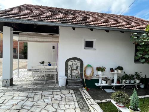 Niska Banja House | Smeštaj Pejčić