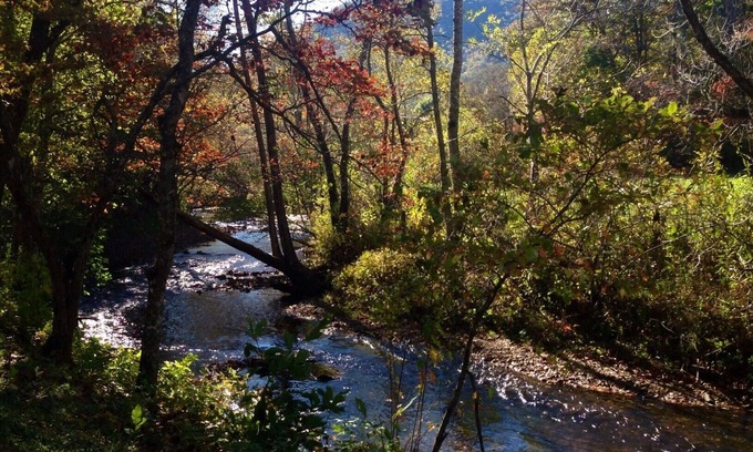 Otto Cottage | Smoky Mountain Creek Front Privacy