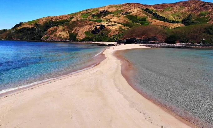 Lautoka House | Snorkeling with sharks (homestay)