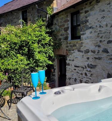 Blaencelyn House | Snuggle hot tub Dolgoy