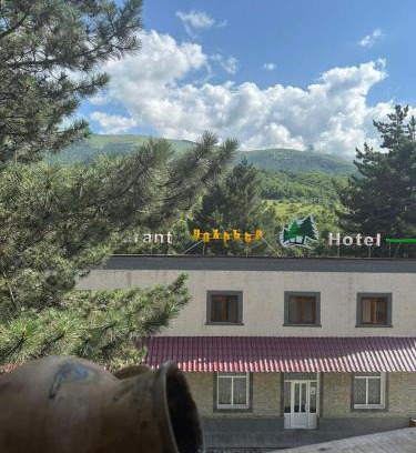 Shahumyan Hotel | Sochiner Hotel
