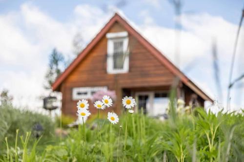 Utena county House | Sodyba Paukščių Takas