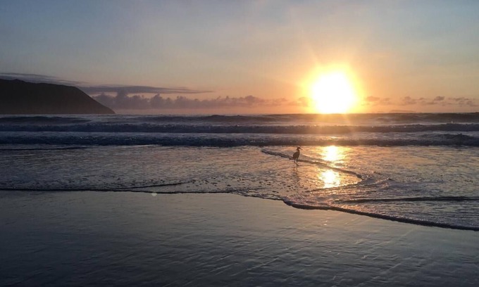 Rio das Pacas Apartment | SOLIDÃO BEACH - FLORIANÓPOLIS - For Rent