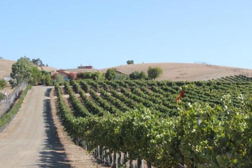 Paso Robles House | Solitude I