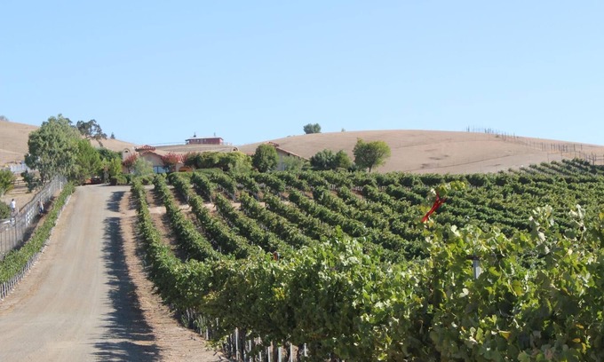 Paso Robles House | Solitude I- Views in the Midst of Vines-Solitude with Hacienda Style!