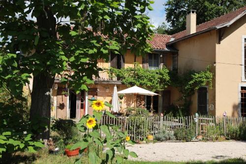 Castaignos-Souslens Bed & Breakfast | souslens, Castaignos-Souslens 40