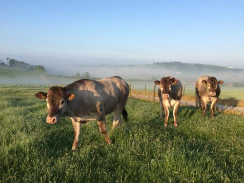 Findon House | South Downs Rural Retreats
