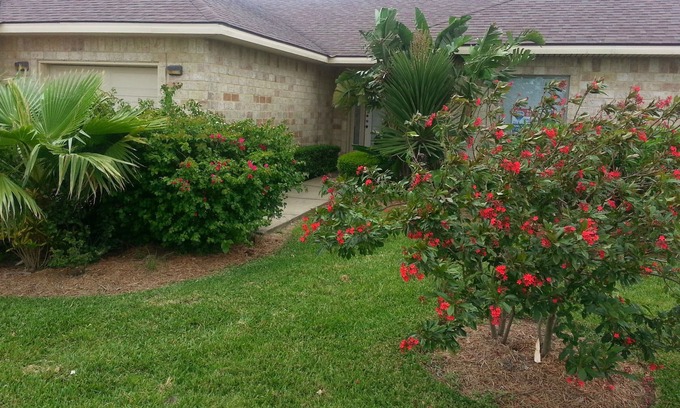 Laguna Vista Villa | South Padre retreated on the pond