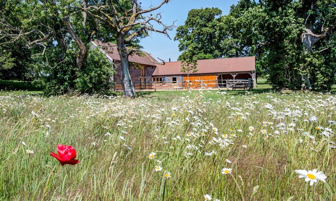 Chute Forest Bed & Breakfast | South Park Farm Barn