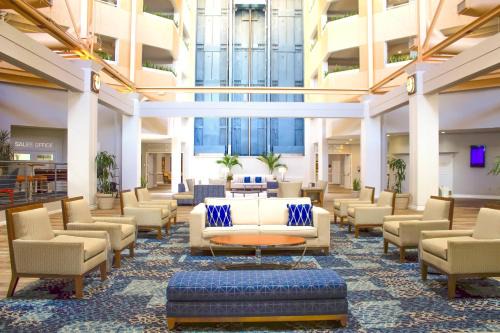 Southbank Hotel | Southbank Hotel Jacksonville Riverwalk