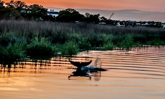 Scanlonville House | Southern Calm on a Deep Water Dock!