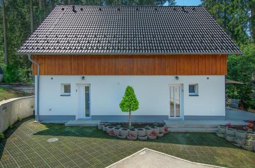 Lojzova Paseka Apartment | SPA Lakeside LIPNO CLUB