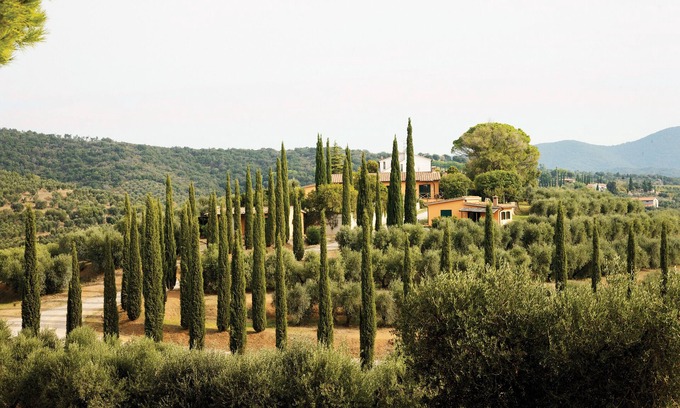 Castiglione della Pescaia House | Spacious vacation home "Azzurrina" in the middle of a beautiful olive grove