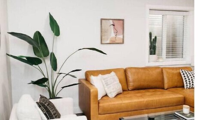 Langley House | Spacious 1 Bedroom Pet Friendly Suite
