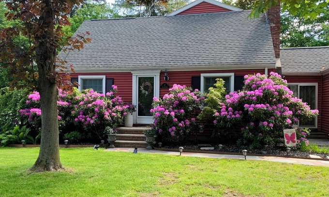 Wellesley House | Spacious and lovely 5-bedroom in Wellesley. Only 20 minutes from Boston!